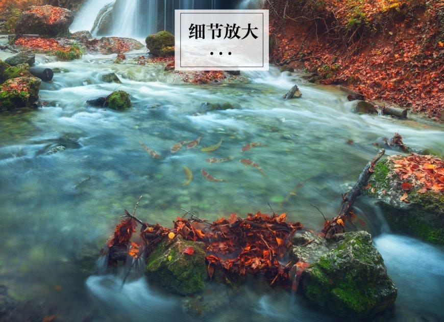 “尔滨”的快乐，留坝也能给你！此刻想去秦岭雪乡的欲望达到了巅峰